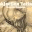 paulofnazareth.wordpress.com