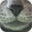 studio-aoyi.com