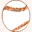 bigbucksbaseball.com