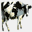 beyondthecow.com