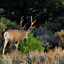 bc40hunts.com