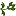 irisflora.com