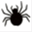 spiders-linedancer.de