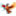 teamstrobelight.com