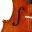 brianyooncello.com