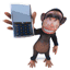 acemonkeymedia.com