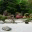 ecojardines.wordpress.com