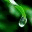 joyfulrain.wordpress.com