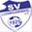 sv-ludwigswinkel.de