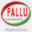 pallu.com.br