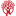 ccdaec.org