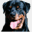 radioranchrottweilers.com