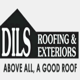 dilsroofing.com