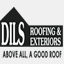 dilsroofing.com