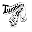 tumblingdice.org