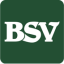 bsvnet.com