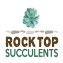 rocktopsucculents.strikingly.com