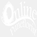 onlinepuneflorist.com