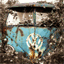 jasonstoddart.com