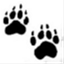 bearlyblog.wordpress.com