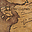erellgorh.com
