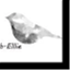 whitesilksky.com