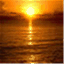 luminatedlandscapes.com