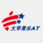 dpgsat.com