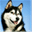 tianrunlin.com