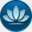 conceptualoptions.com