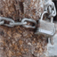 treedomproject.com