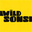 thewildsons.bandcamp.com