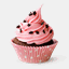 susiebakerskitchen.com