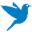 testbird.co.kr