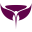 barelencanto.com
