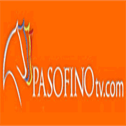 pasofinotv.com