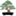 blog.dallasbonsai.com