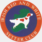 irishredandwhitesetterclub.org