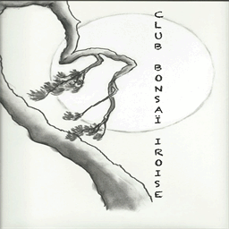 club-bonsai-iroise.over-blog.com