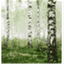 agreenbranch.wordpress.com