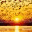 lighthousewaves.wordpress.com