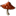 tfgmush.org