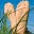 jamesyakel.wordpress.com