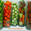 thaifruitmodel.com