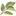radiancewholefoods.com
