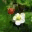 hipbberry.wordpress.com