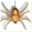 cobbwebs.jokai.net