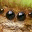 thinkits.wordpress.com
