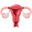 fibroidsfighter.com