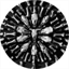 luminouswest.com